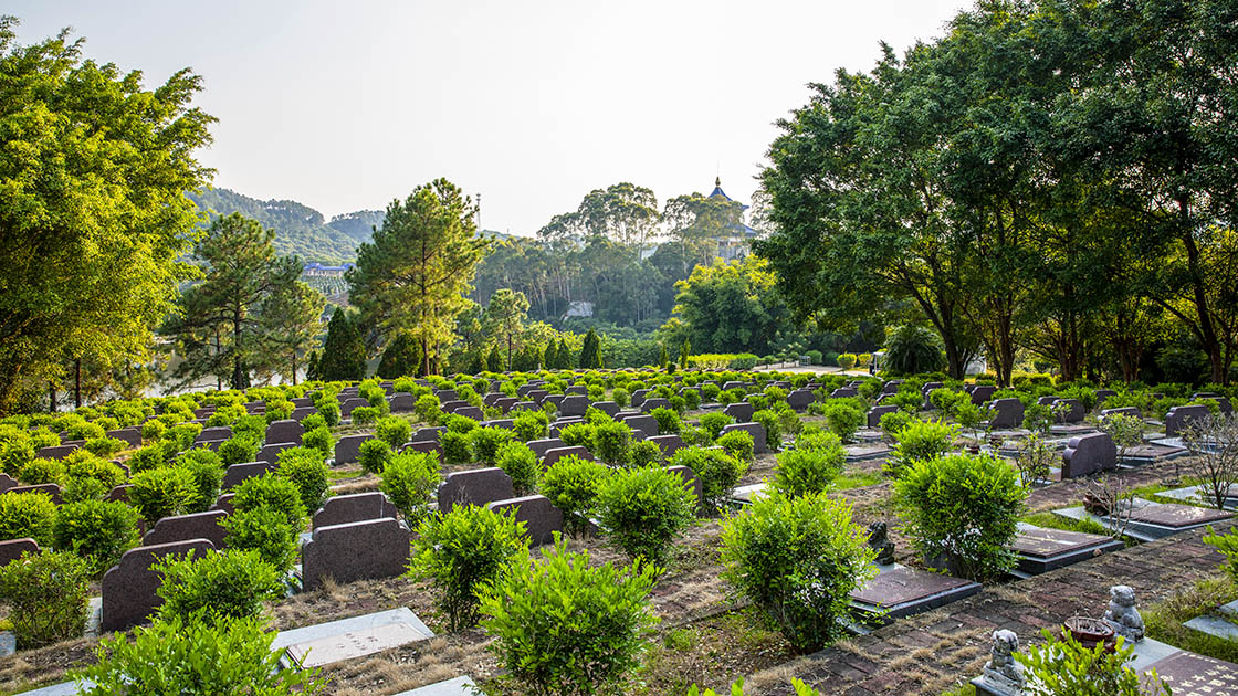 4福山A区面向朝祖坛景观1120.jpg