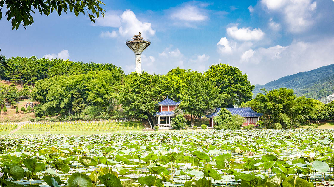 6园区春色，芙蓉池、盘龙柱景观1120.jpg