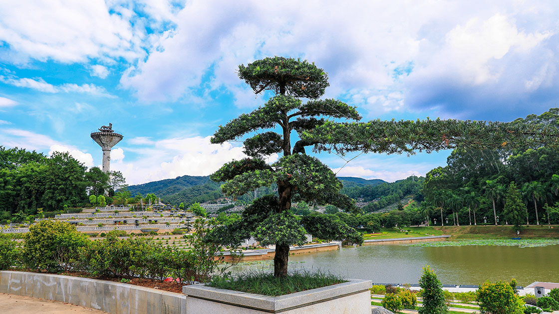 2聚宝、芙蓉湖、盘龙柱景观1120.jpg