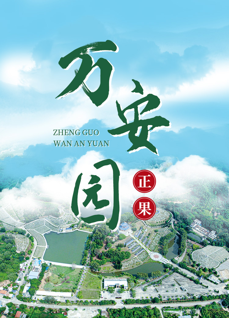 移动端abnner
